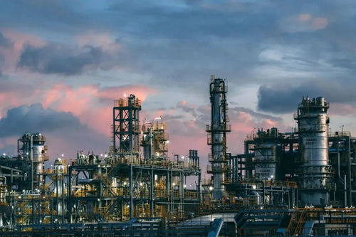 央企大拜年 化 龍點 金 ,把幸福甜蜜抱回家