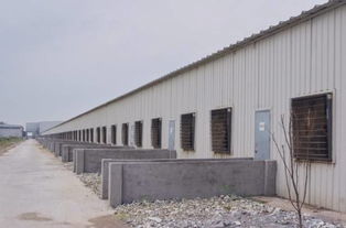 經(jīng) 夏絲路行 連云港探尋港都小分隊(duì) 蘇北農(nóng)產(chǎn)品進(jìn)出口調(diào)研紀(jì)實(shí)