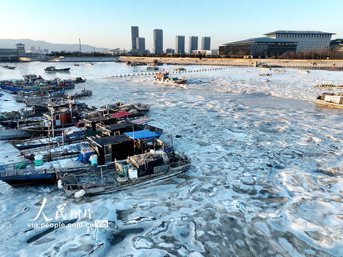 江蘇連云港強寒潮來襲，海岸現大面積冰凌奇觀